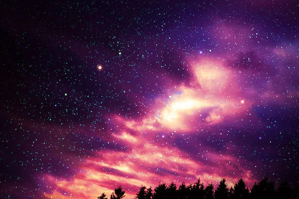 Kleurrijke nachtelijke hemel met veel sterren boven bomen silhouet. — Stockfoto