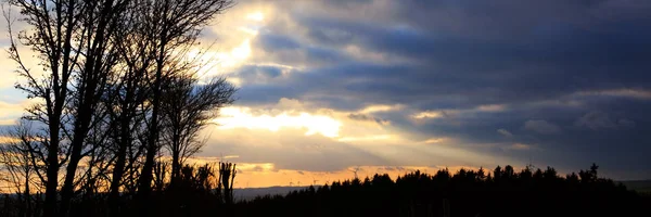 Windkraftanlagen bei Sonnenuntergang. bunter Himmel und Bäume. — Stockfoto