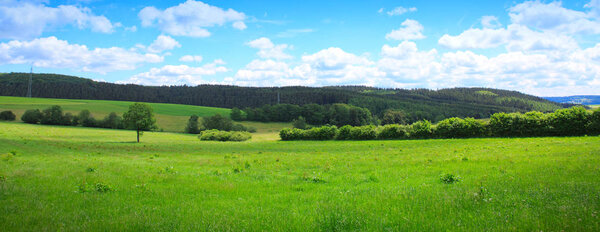 Summer landscape with trees and blue sky. Summer background.