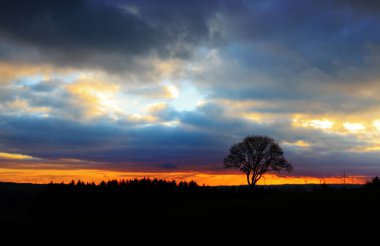 Renkli Günbatımı ve rüzgar tekerlekleri. Doğa arka planı..