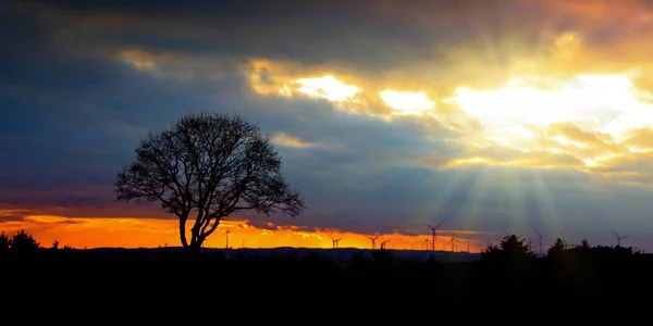 Lever Soleil Sur Baie False Afrique Sud Photographie Binty