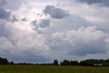 Gri yağmurlu gökyüzü ve yaz alan. Doğa arka plan.