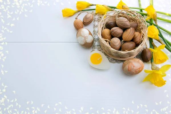 Uova di Pasqua marroni e narcisi gialli. Sfondo pasquale . — Foto Stock