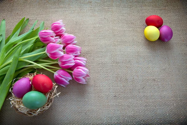 Uova di Pasqua nel nido e tulipani rosa. — Foto Stock