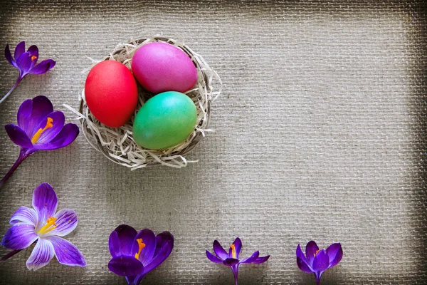 Uova di Pasqua e crochi viola. Decorazione festiva su sfondo stoffa . — Foto Stock