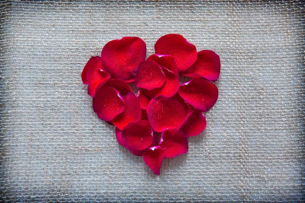 赤いハートのバラの花びらが布の背景に隔離されています. — ストック写真