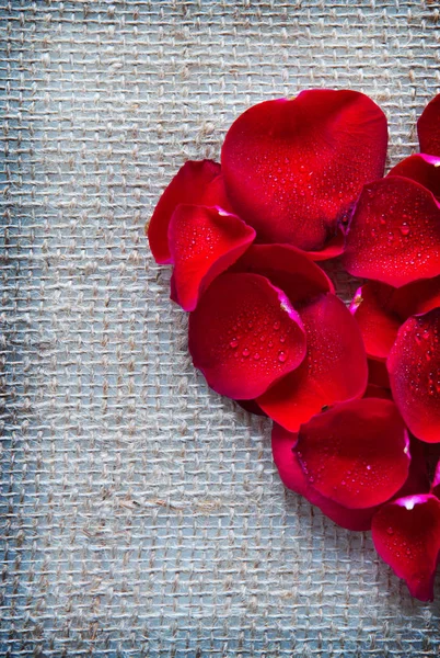 Cuore rosso di petali di rose isolato su uno sfondo di stoffa. — Foto Stock