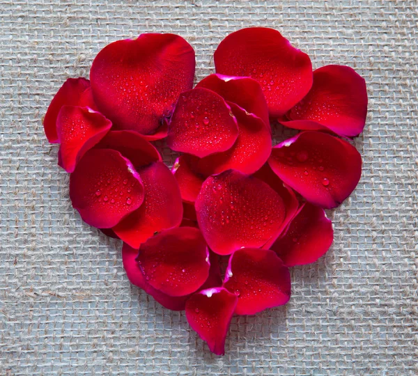 Red heart of roses petals isolated on a cloth background. — Stock Photo, Image