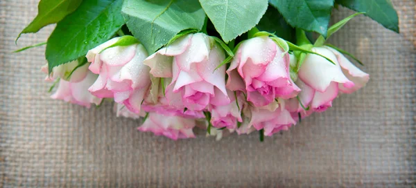 Rose rosa isolate su tessuto marrone Sfondo . — Foto Stock