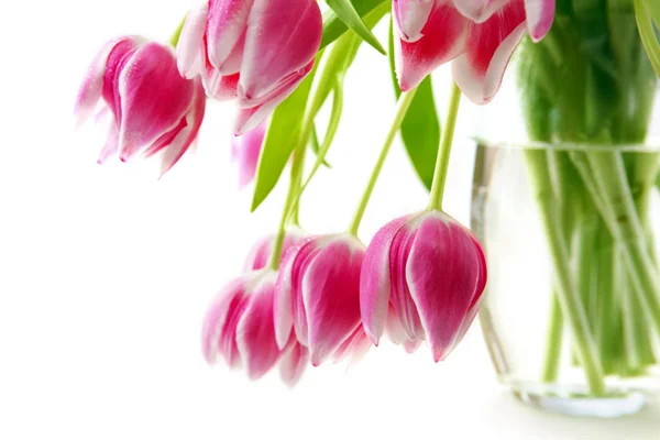 Bukiet tulipanów na białym tle. Wiosna z życzeniami. — Zdjęcie stockowe
