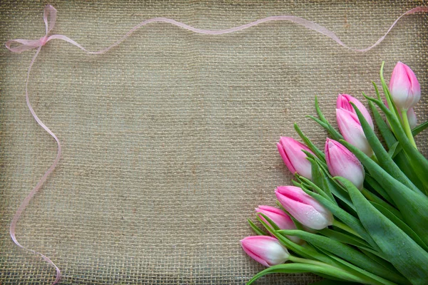 Tulipas rosa e loop isolado em pano marrom Fundo . — Fotografia de Stock