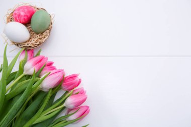 Lale ve Paskalya yumurta yuvada Beyaz ahşap arka plan üzerinde izole.