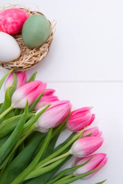 Lale ve Paskalya yumurta yuvada Beyaz ahşap arka plan üzerinde izole.