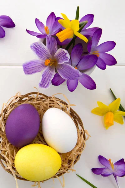 Crochi viola e Pasqua Uova nel nido isolate su legno bianco Fondo . — Foto Stock