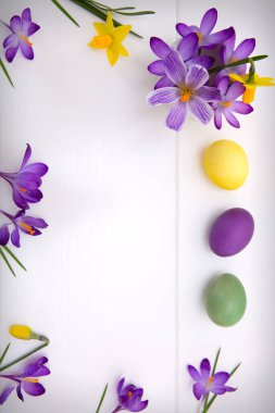Mor çiğdemler ve Paskalya yumurta beyaz ahşap arka plan üzerinde izole.