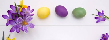 Mor çiğdemler ve Paskalya yumurta beyaz ahşap arka plan üzerinde izole.