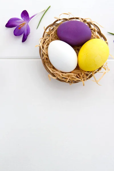 Croco viola e Pasqua Uova nel nido isolate su legno bianco Fondo . — Foto Stock