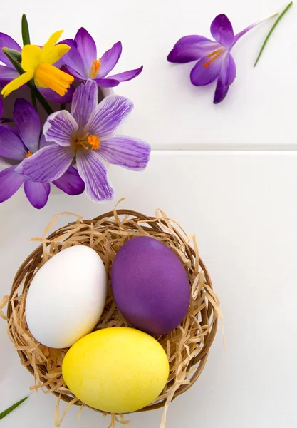 Purple crocuses and easter Eggs in the nest isolated on white wood Background. — Stock Photo, Image