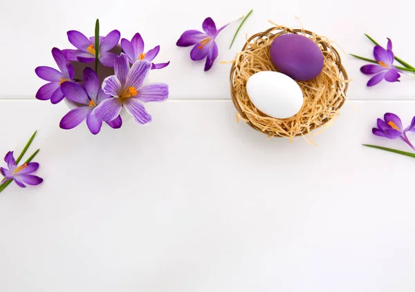 Crochi viola e Pasqua Uova nel nido isolate su legno bianco Fondo . — Foto Stock