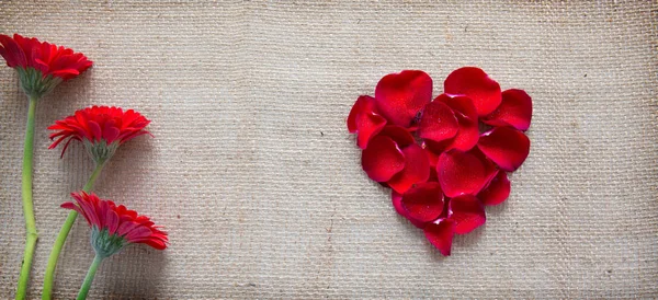 Corazón rojo de rosas pétalos y gerberas aislados sobre un fondo de tela . —  Fotos de Stock