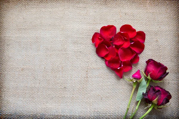 Red heart of roses petals and rose isolated on a cloth background. — Stock Photo, Image