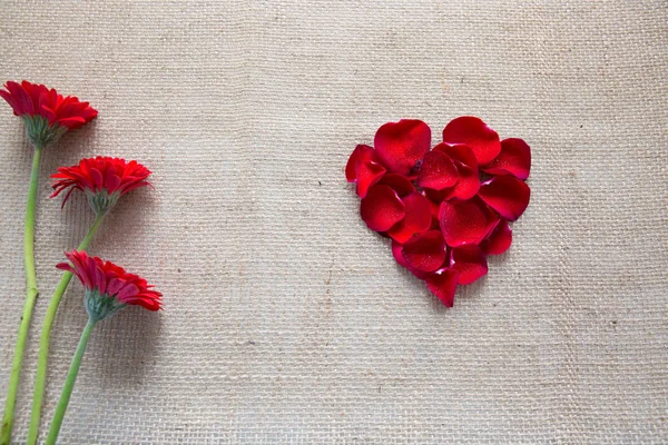 Red heart of roses petals and gerberas isolated on a cloth background. — Stock Photo, Image