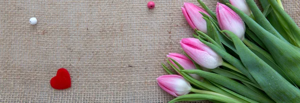 Pink tulips and red heart isolated on a cloth background. — Stock Photo, Image