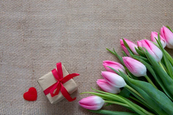 Różowe tulipany i teraźniejszość izolowane na tle tkaniny. — Zdjęcie stockowe