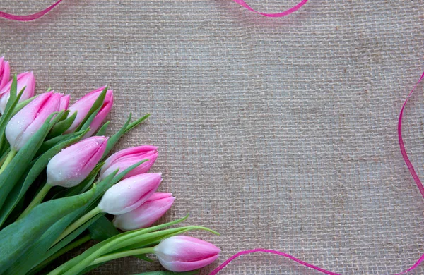 Pink tulips and loop isolated on brown cloth Background. — Stock Photo, Image