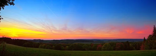 Letní pole a stromy pod barevnou oblohou. Západ slunce. — Stock fotografie
