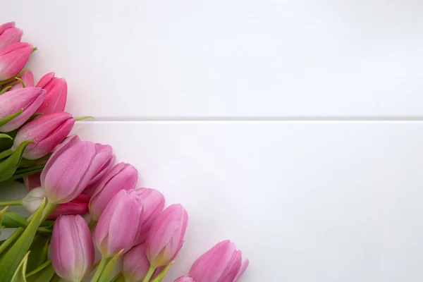 Ροζ τουλίπες απομονωμένες σε λευκό ξύλο φόντο. Γιορτές φόντο. — Φωτογραφία Αρχείου