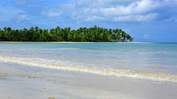 Καραϊβική θάλασσα και πράσινο φοίνικες σε λευκή τροπική παραλία. — Φωτογραφία Αρχείου
