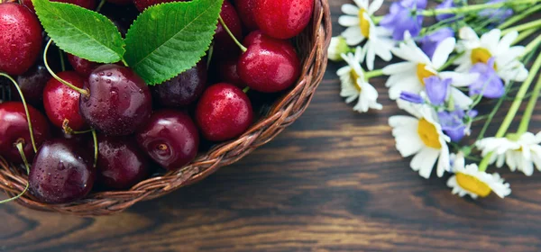 Kirschen im Korbtopf und Gänseblümchen auf altem Holzgrund. — Stockfoto