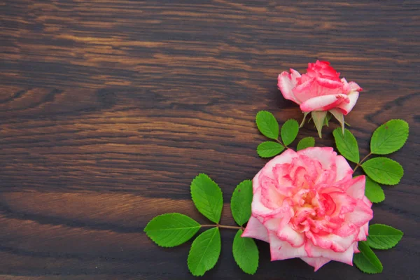 Rosas rosadas sobre fondo marrón de madera.Vista superior.Copiar espacio —  Fotos de Stock