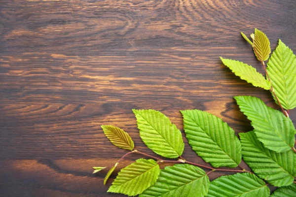 Πράσινα φύλλα σε καφέ ξύλινο φόντο.Πάνω όψη.Αντιγραφή χώρου — Φωτογραφία Αρχείου