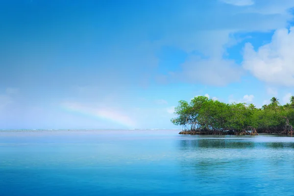 熱帯の海と青空の背景。背景としての夏の海の風景. — ストック写真