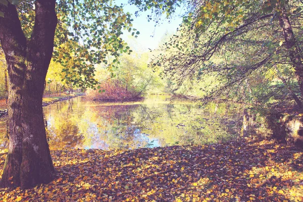 Цветной осенний парк с деревьями и лесным озером . — стоковое фото