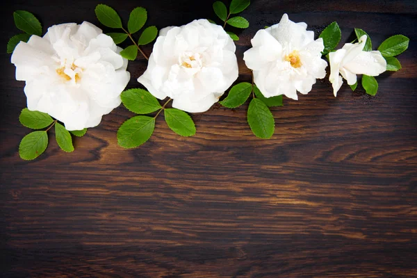 Rosas blancas sobre fondo de madera marrón. Copiar espacio — Foto de Stock