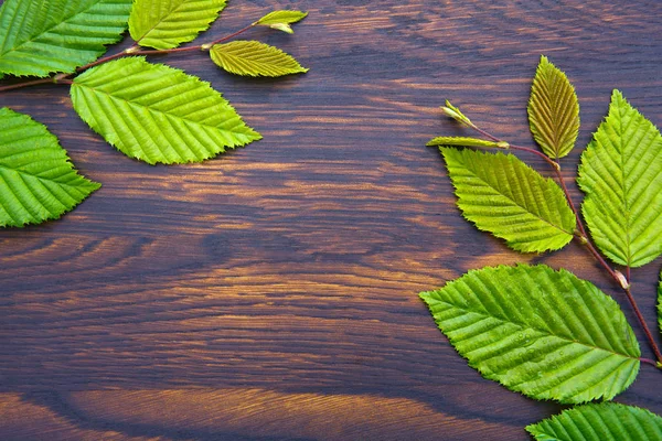 Hojas verdes sobre fondo marrón de madera.Vista superior.Copiar espacio —  Fotos de Stock