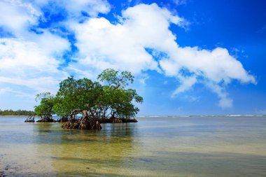 Tropik deniz ve mavi gökyüzü arka planı. Arka plan olarak yaz okyanus manzarası.