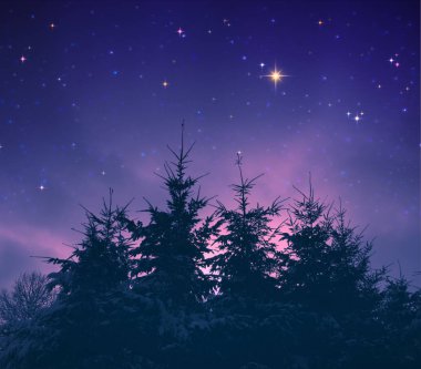 Kar kaplı ağaçlar ve yıldızlar gökyüzü ile Noel arka plan.