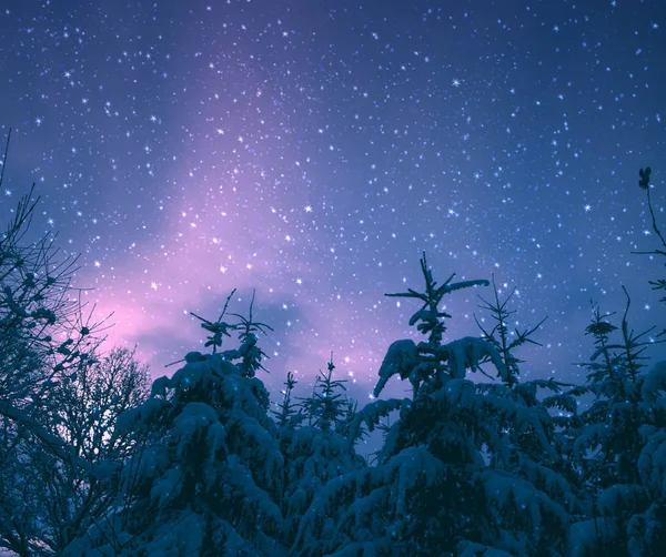 Świąteczne tło z pokrytymi śniegiem drzewami i gwiazdami nieba. — Zdjęcie stockowe