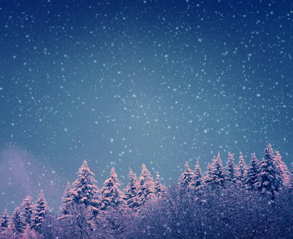 冬季森林中的降雪。圣诞节背景 . — 图库照片