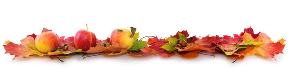 Latar belakang musim gugur dengan apel merah dan daun berwarna-warni terisolasi di atas putih . — Stok Foto