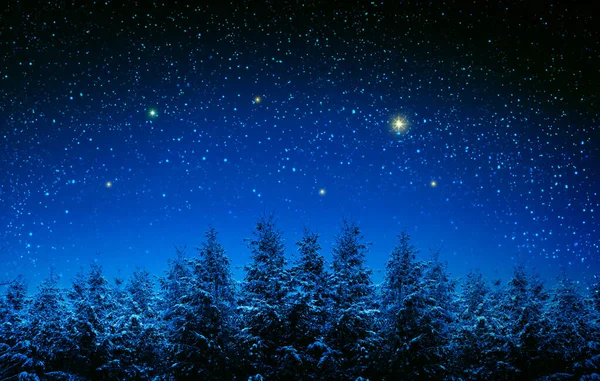 Christmas background with stars and trees in winter forest. — Stock Photo, Image