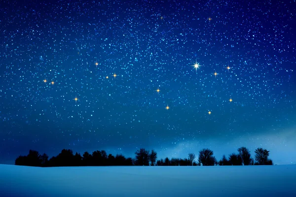 Fundo de Natal com estrelas e árvores na floresta de inverno . — Fotografia de Stock