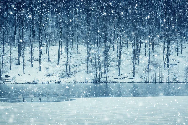 Paisagem de inverno de árvores congeladas e nevasca . — Fotografia de Stock