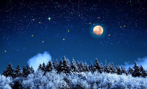 Winter forest covered with fresh snow in a light of rising moon. Christmas night.