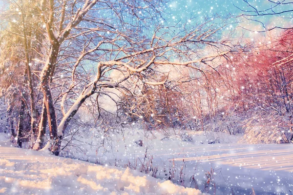 Bela paisagem de inverno na Alemanha com nevasca . — Fotografia de Stock