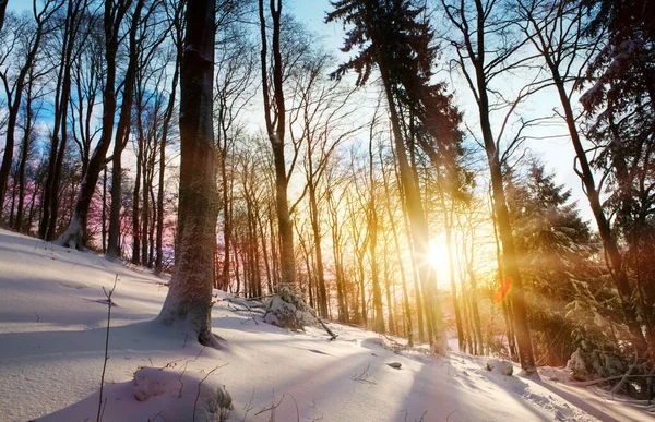 Paysages hivernaux en Allemagne avec neige et soleil . — Photo